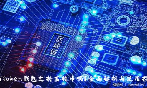 :
ImToken钱包支持莱特币吗？全面解析与使用指南