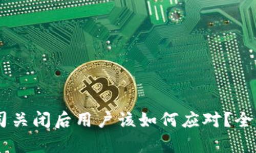  imToken公司关闭后用户该如何应对？全面分析与建议