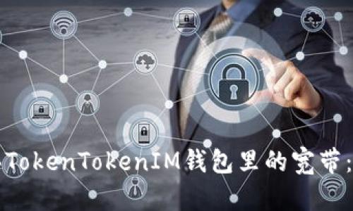 如何购买TokenTokenIM钱包里的宽带：详尽指南