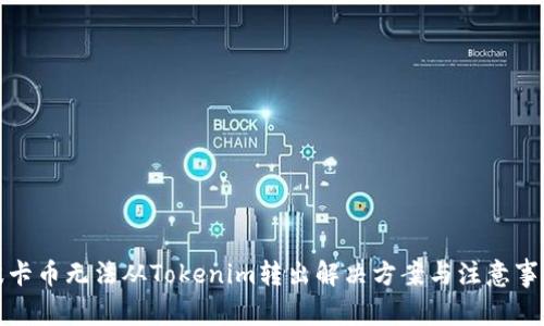 波卡币无法从Tokenim转出解决方案与注意事项