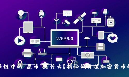 TP钱包货币链中的“屎币”是什么？揭秘低价值加密货币的真实面貌