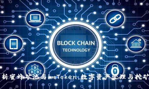 深度解析蜜蜂矿池与imToken：数字资产管理与挖矿的未来