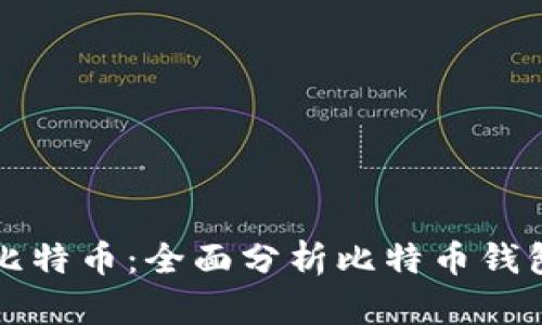 如何安全存储比特币：全面分析比特币钱包的选择与使用