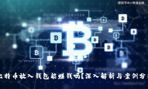 比特币放入钱包能赚钱吗？深入解析与案例分析