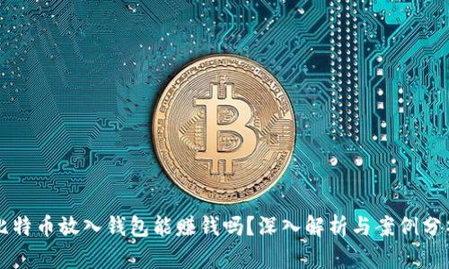 比特币放入钱包能赚钱吗？深入解析与案例分析