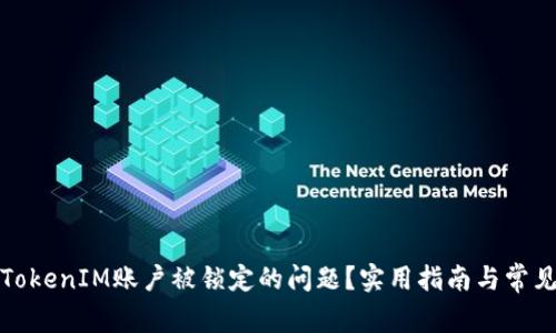 如何解决TokenIM账户被锁定的问题？实用指南与常见解决方案