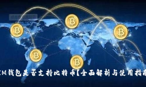 IM钱包是否支持比特币？全面解析与使用指南