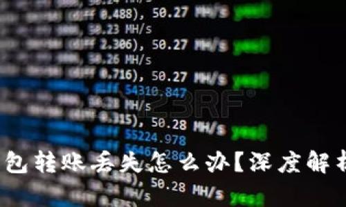  ImToken钱包转账丢失怎么办？深度解析与解决方案