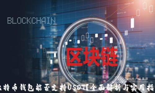 
比特币钱包能否支持USDT？全面解析与实用指南