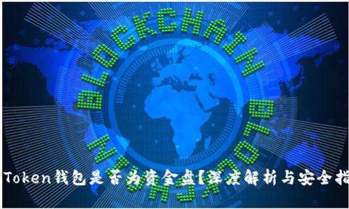 imToken钱包是否为资金盘？深度解析与安全指南