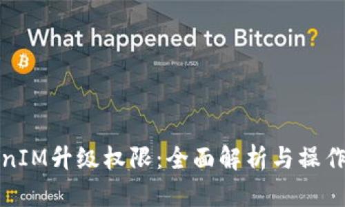 TokenIM升级权限：全面解析与操作指南