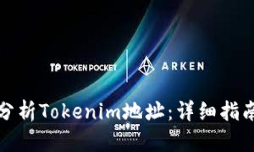 如何观察和分析Tokenim地址：详细指南与实用技巧