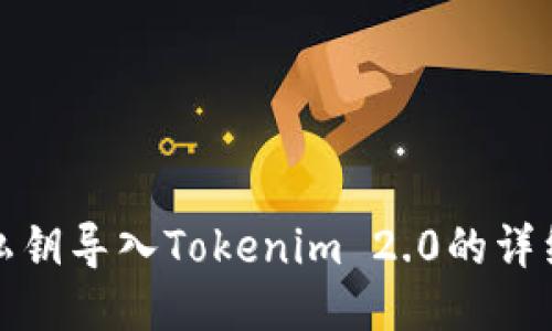 使用私钥导入Tokenim 2.0的详细指南