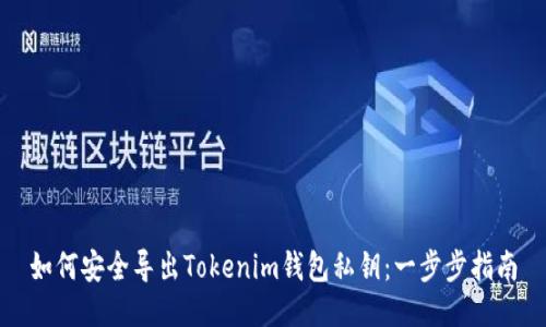 如何安全导出Tokenim钱包私钥：一步步指南
