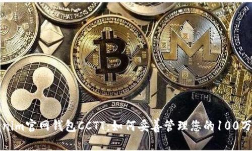 Tokenim官网钱包CCTT：如何妥善管理您的100万资产