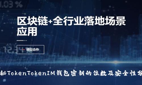 揭秘TokenTokenIM钱包密钥的位数及安全性分析