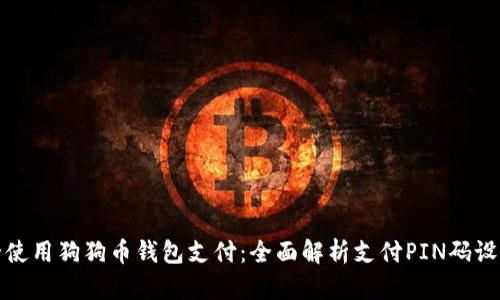 如何安全使用狗狗币钱包支付：全面解析支付PIN码设置与管理