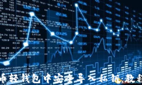 
如何在比特币轻钱包中安全导入私钥：教程与最佳实践