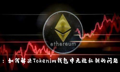 : 如何解决Tokenim钱包中无效私钥的问题