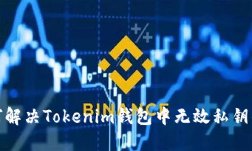 : 如何解决Tokenim钱包中无效私钥的问题