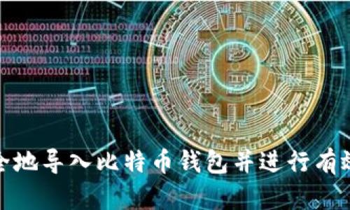 如何安全地导入比特币钱包并进行有效的备份