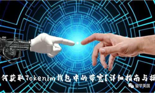 biati如何获取Tokenim钱包中的带宽？详细指南与操作步骤