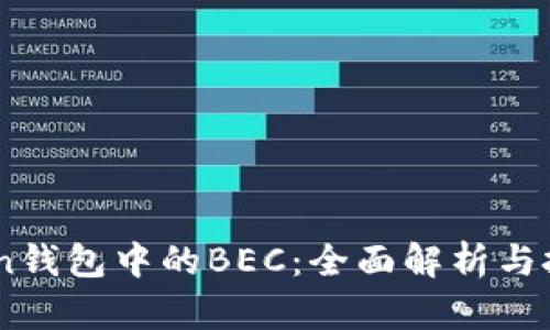 ImToken钱包中的BEC：全面解析与投资指南