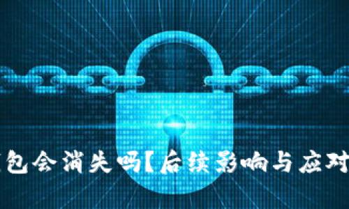 狗狗币钱包会消失吗？后续影响与应对措施分析