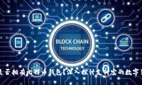 支付宝是否拥有比特币钱包？深入探讨支付宝的数字货币功能