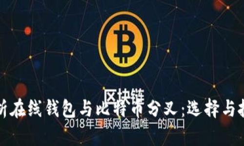 全面解析在线钱包与比特币分叉：选择与投资指南