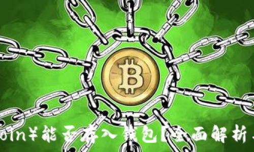   
屎币（Shitcoin）能否存入钱包？全面解析与投资风险