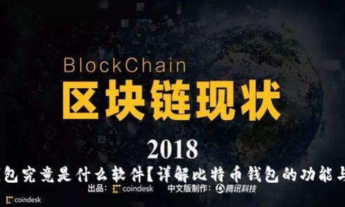 :比特币钱包究竟是什么软件？详解比特币钱包的功能与使用方法