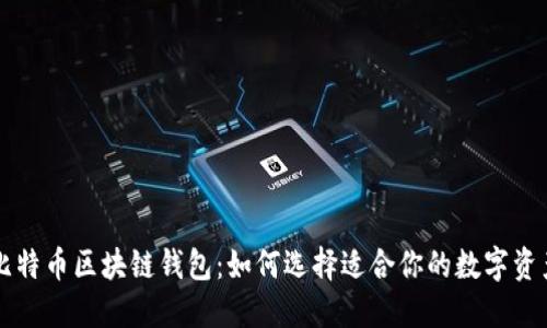 以太坊与比特币区块链钱包：如何选择适合你的数字资产管理工具