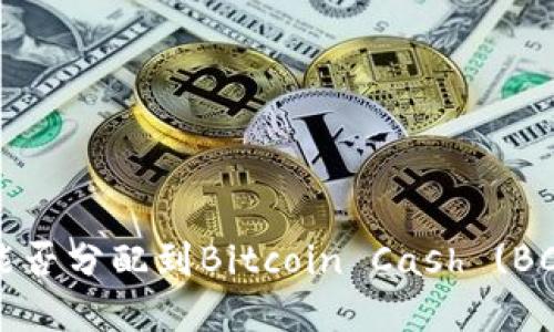 比特币钱包中的比特币能否分配到Bitcoin Cash (BCH)？详解案例与操作指南