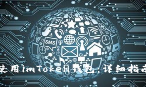 如何在模拟器上使用imToken钱包：详细指南与常见问题分析