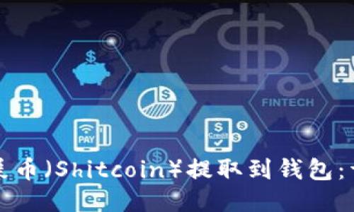如何将屎币（Shitcoin）提取到钱包：详尽指南