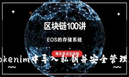 如何在Tokenim中导入私钥并安全管理数字资产
