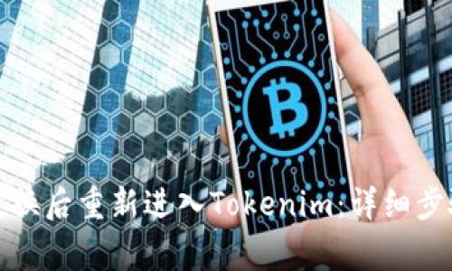 如何在手机更换后重新进入Tokenim：详细步骤与注意事项