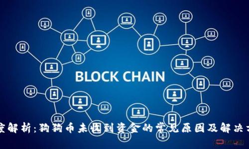 深度解析：狗狗币未收到资金的常见原因及解决方案