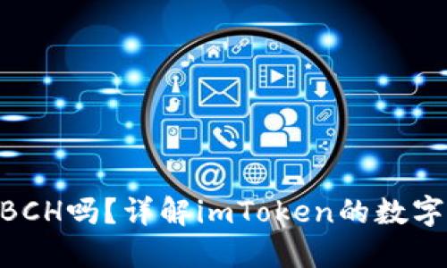 imToken支持BCH吗？详解imToken的数字货币支持情况