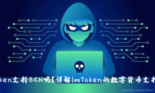 imToken支持BCH吗？详解imToken的数字货币支持情况